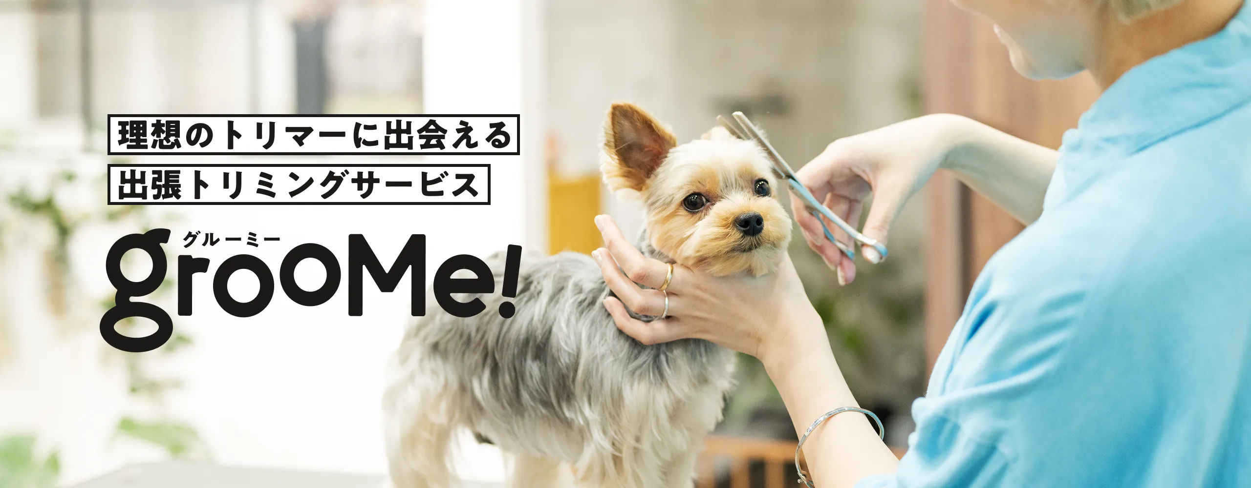 GrooMe!™ - 理想のトリマーに出会える出張トリミングサービス