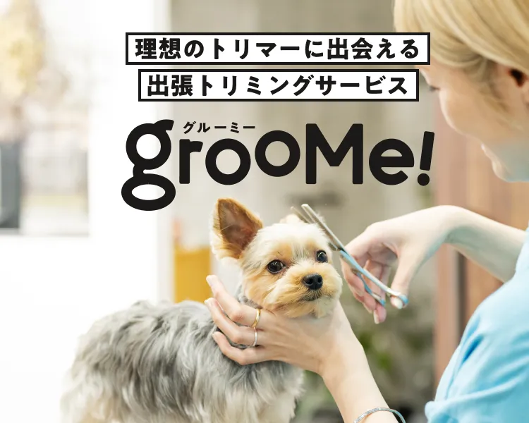 GrooMe!™ - 理想のトリマーに出会える出張トリミングサービス